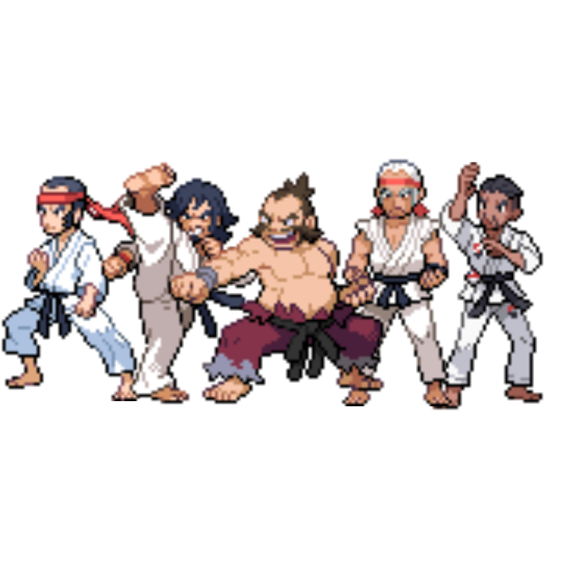 Dojo Marcial